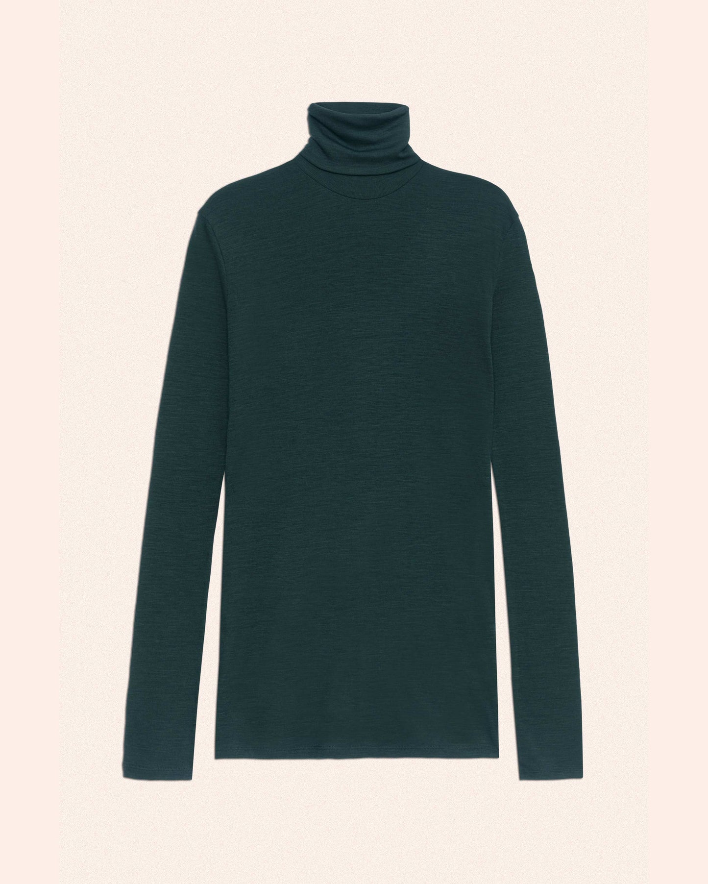 MOSS FINE WOOL RIB HIGH NECK FROM POSTELEGANT